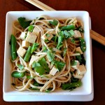 Asian Noodles with Green Beans Tofu & Green Onions