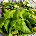 Mixed Greens & Avocado Salad Roll Ups