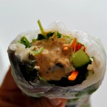 Tofu Spring Rolls with Thai Peanut Dipping Sauce