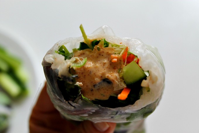 Tofu Spring Rolls with Thai Peanut Dipping Sauce