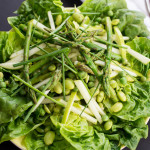 Spring Greens & Beans Salad with Asparagus & Lemon Basil Dressing