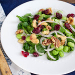 Thanksgiving Salad – Wilted Baby Spinach with Shallots Edamame Dried Cranberries & Chopped Walnuts