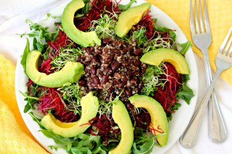 Clover & Red Beet Sprout Salad with Avocado Black Beans & Quinoa