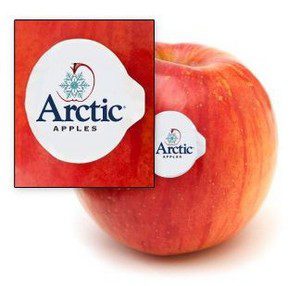 The New ‘Arctic’ Apple – It’s GMO’d But Not Labeled As Such